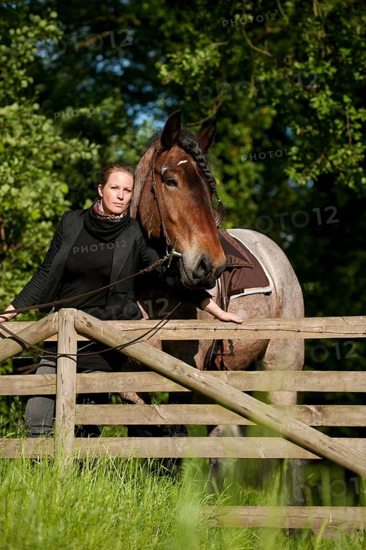 Woman with a Belgian Draft Horse at a fence