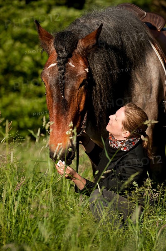 Woman and a Belgian Draft horse in a meadow