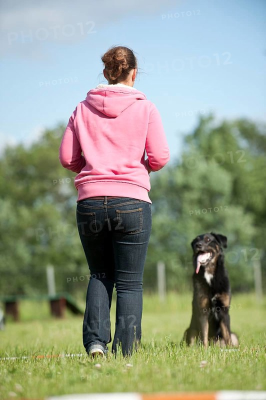 Woman longeing a mixed-breed dog