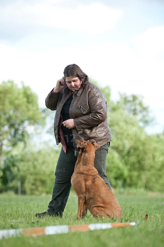 Woman longeing a mixed-breed dog