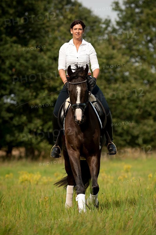 Woman trotting across a meadow on a Hanoverian horse