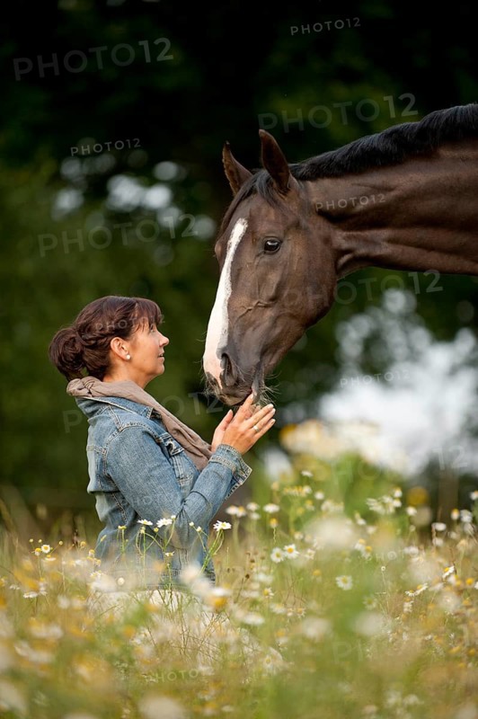 Woman with a Hanoverian horse in a meadow