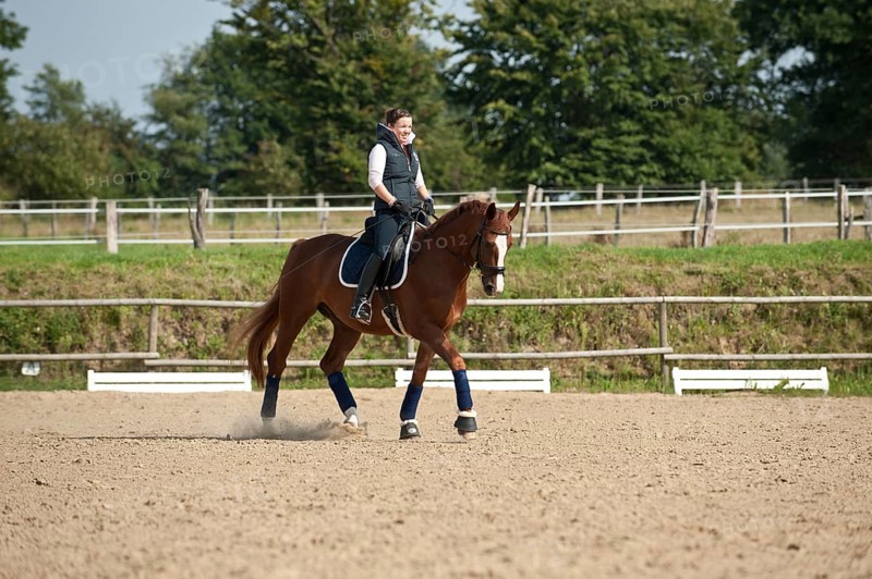 Woman riding a galloping Hanoverian horse