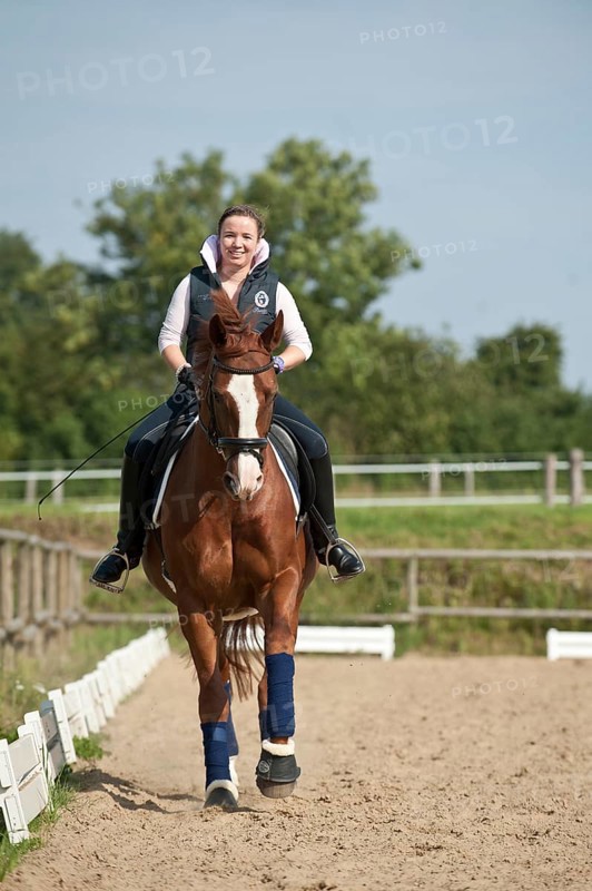 Woman riding a galloping Hanoverian horse