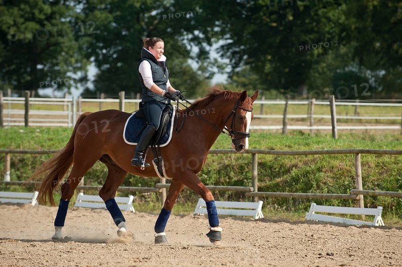 Woman riding a trotting Hanoverian horse
