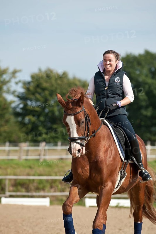 Woman riding a Hanoverian horse