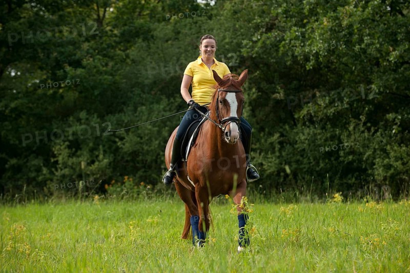 Woman riding a trotting Hanoverian horse in a meadow