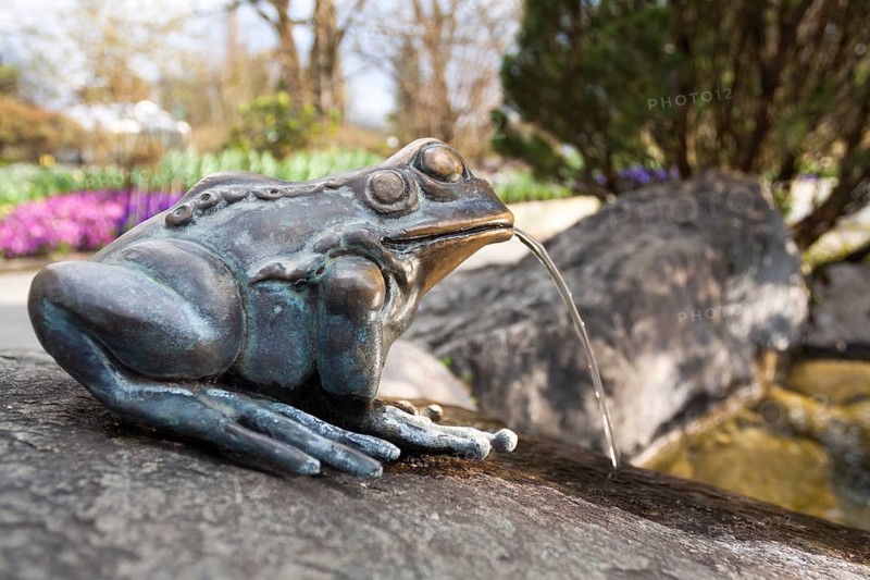 Frog fountain on the island of Mainau