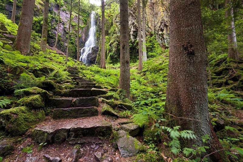 Stone stairs at Burgbach Waterfall near Schapbach