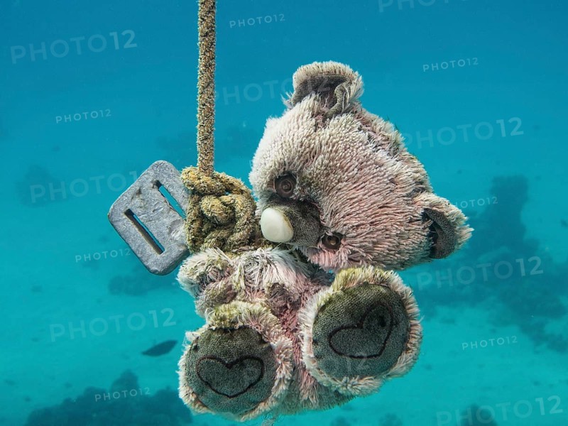 Teddy bear as a guide or target marker for scuba divers