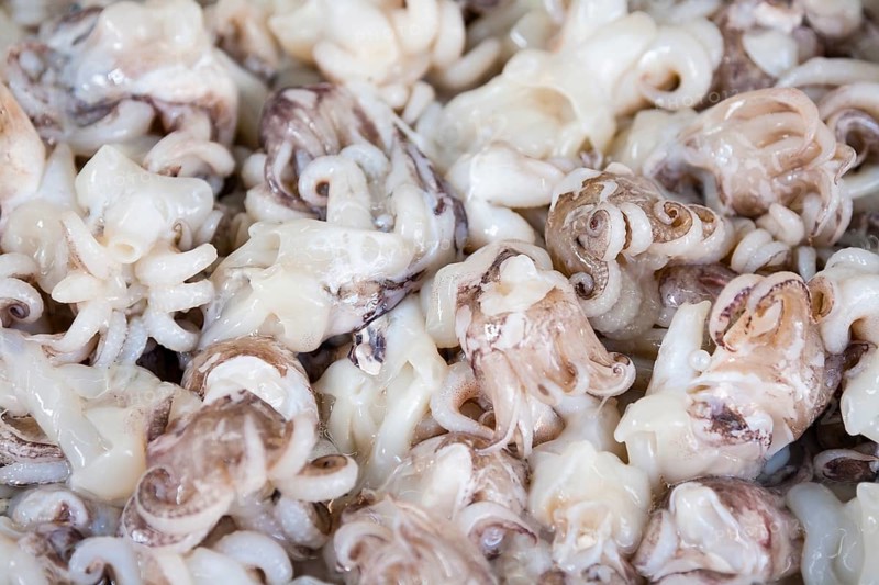 Fresh octopus display at a market in Thailand