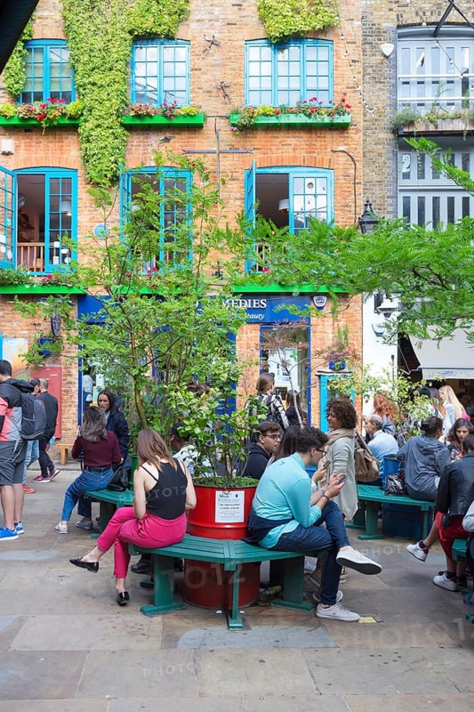 Neal's Yard