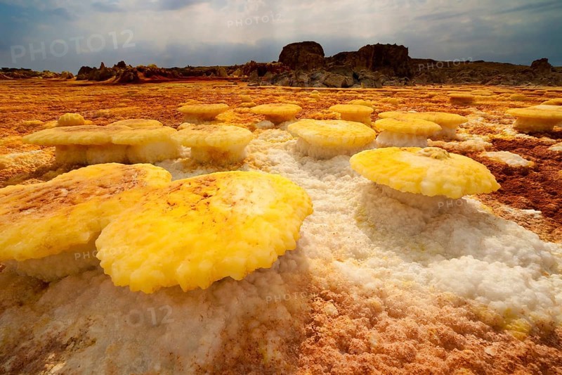 Landscape shaped by hydro-thermal activity at the Dallol volcano