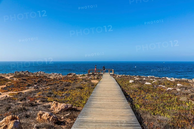 Wooden walkway to a lookout point