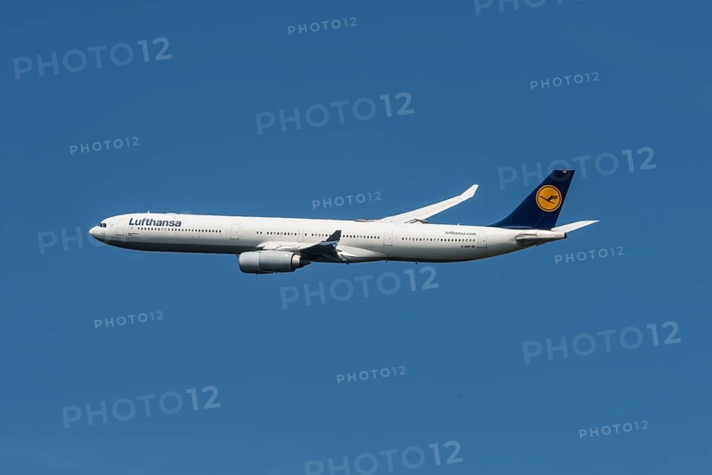 Airbus A 340-600 of Lufthansa taking off from Frankfurt Airport