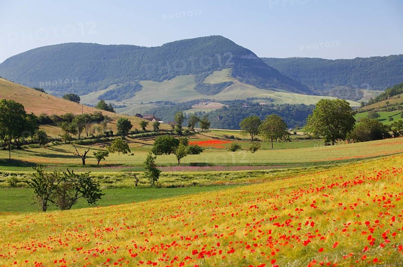 Agricultural landscape near Peyre