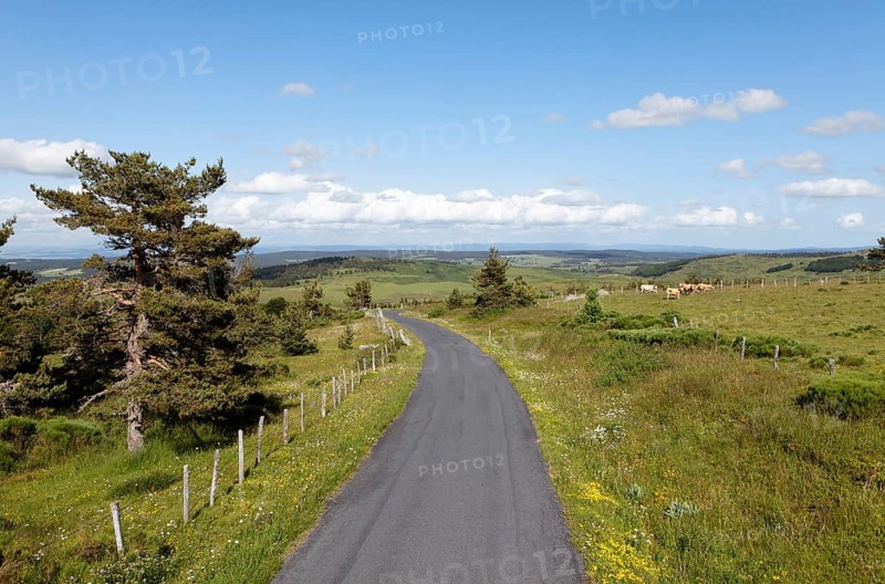 Country road near Grandrieu
