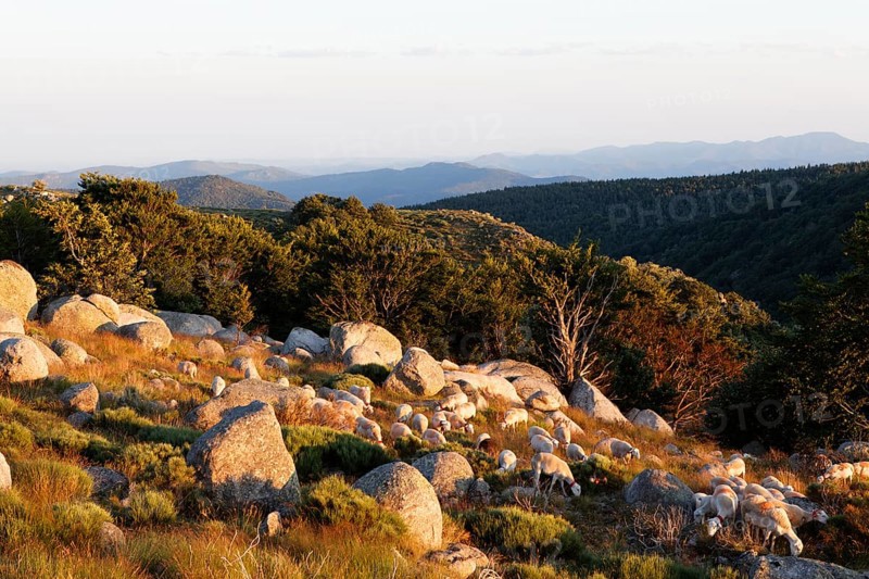 Landscape of The Causses and the Cevennes