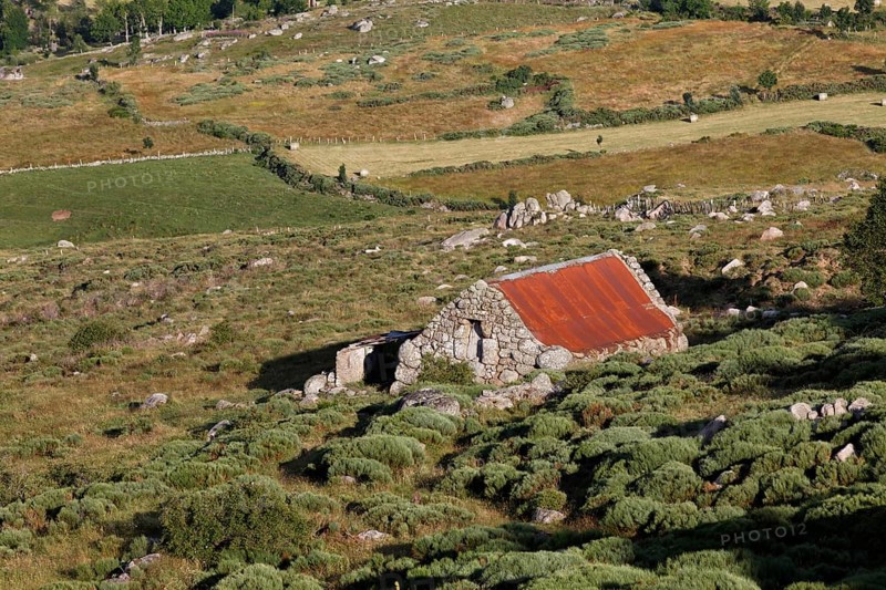 Old farm house