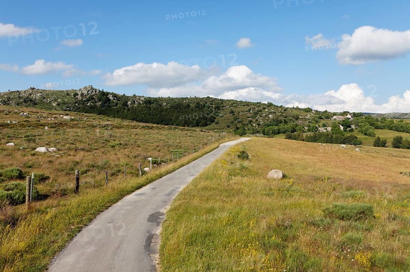 Road in the Causses and the Cevennes