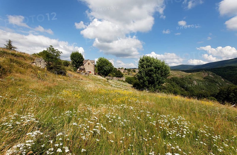 Landscape at Mont Lozere