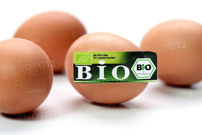 Hen's eggs with organic seal