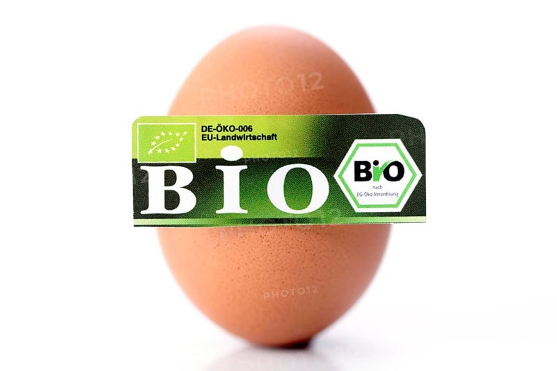 Hen's egg with organic seal