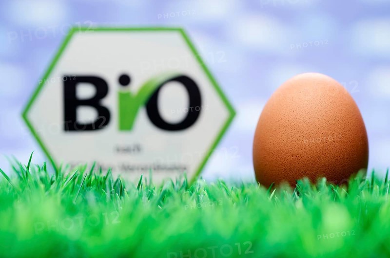 Hen's egg and organic seal