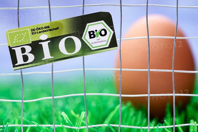 Hen's egg behind cage-bars with organic seal