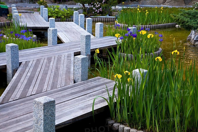 Japanese gardens in Larvotto