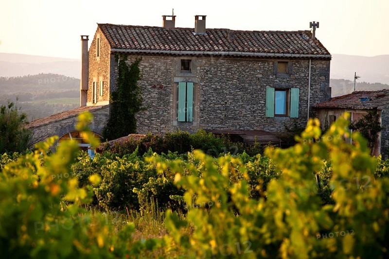 Stone house in vineyard near Lacoste and Bonnieux