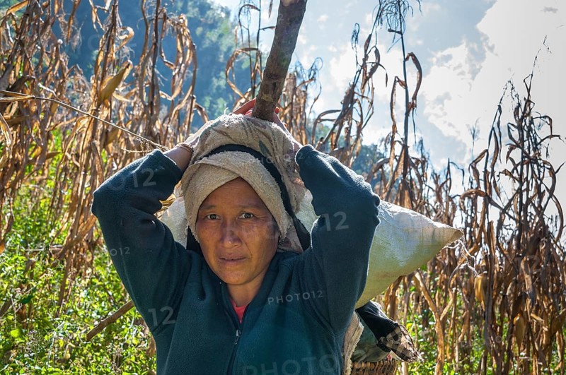 Hill tribe woman carrying a load on her head