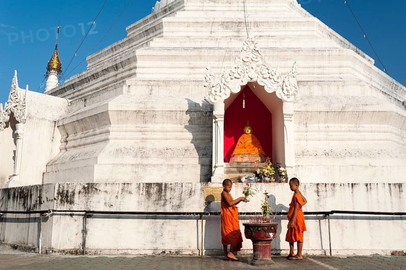 Young Buddhist monks with offerings in front of a Pagoda or Chedi