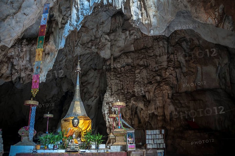 Wat Tham Pla temple or Monkey Cave temple