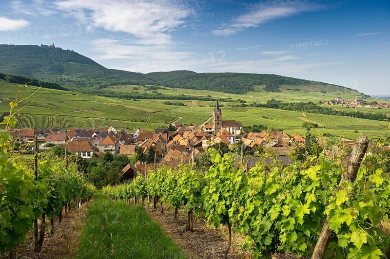 Hunawihr and its vineyards