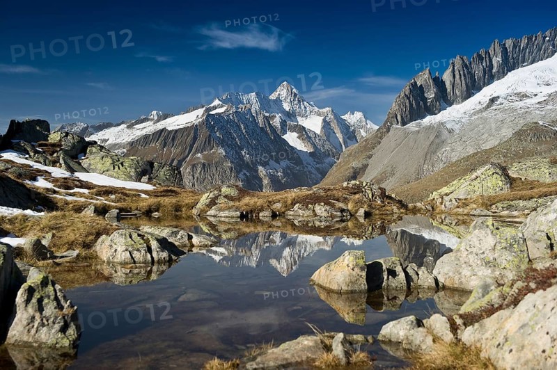 Small lake above the Aletsch Glacier and the Bernese Oberland