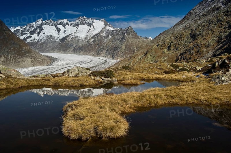 Aletsch Glacier and the Bernese Oberland