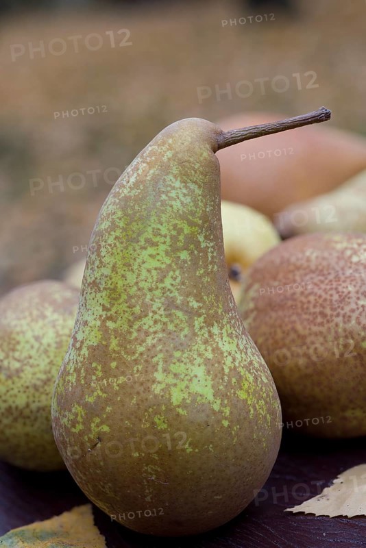 Pear