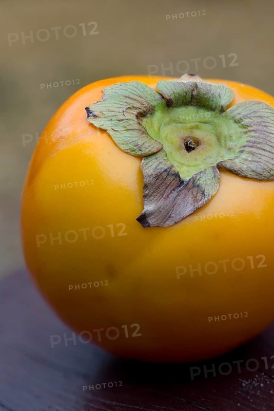 Sharon fruit or Kaki Persimmon (Diospyros kaki)