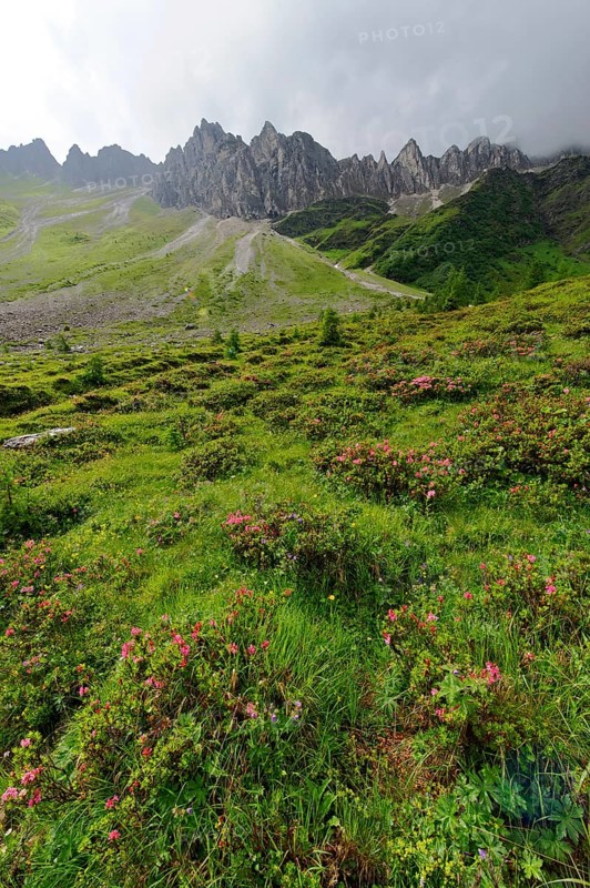 Pflerschtal valley