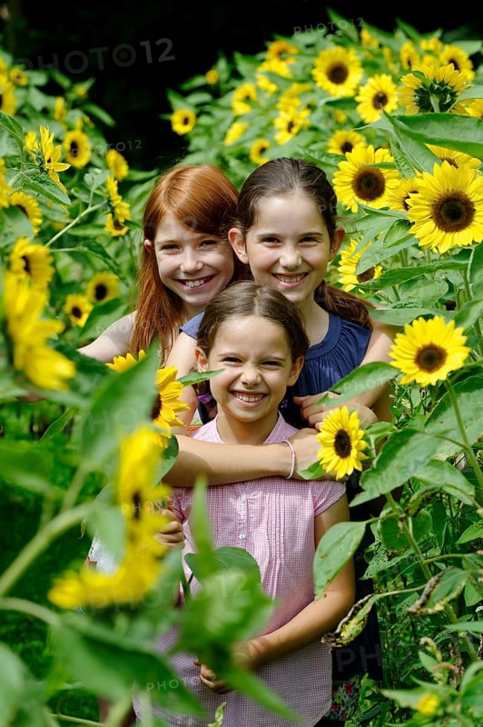 Girls in a sunflower field