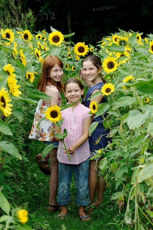 Girls in a sunflower field