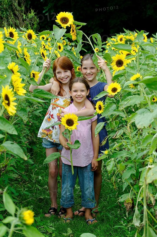 Girls in a sunflower field