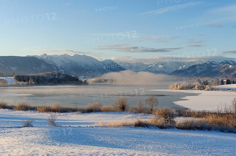 Winter landscape