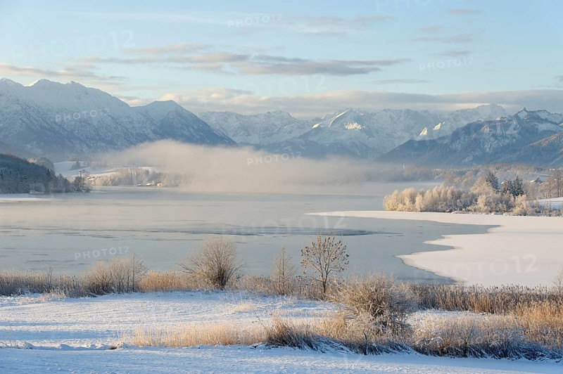 Winter landscape