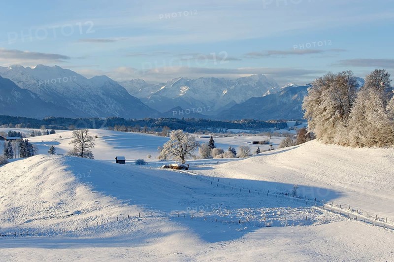 Winter landscape