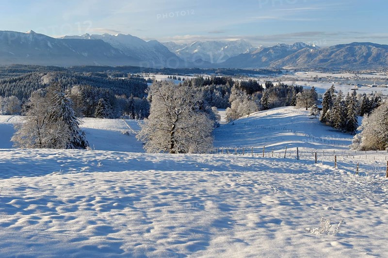 Winter landscape