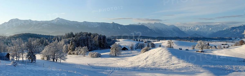 Winter landscape