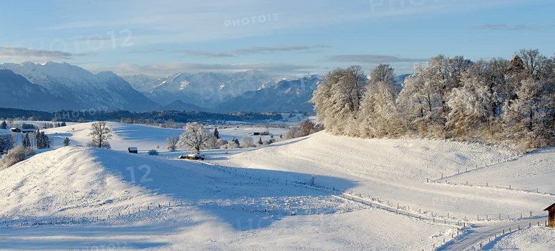Winter landscape
