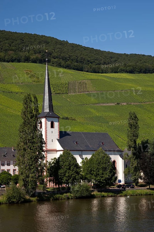 Village of Piesport with the Parish Church surrounded by vineyards
